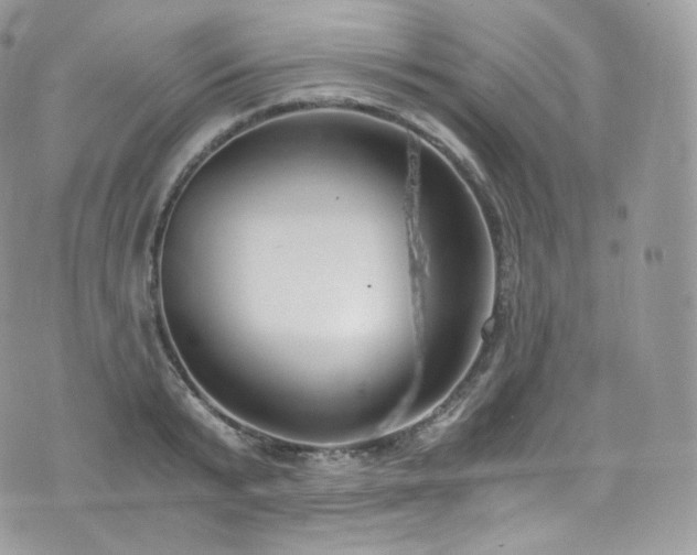 X0000073920799200608111221