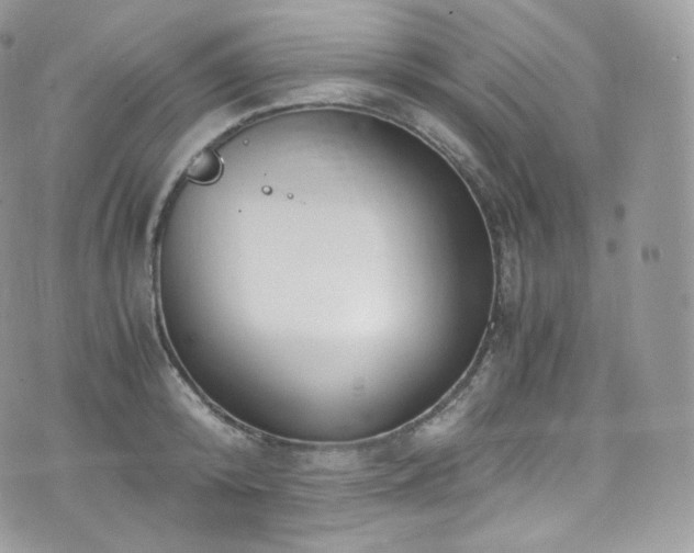 X0000073920800200608111221