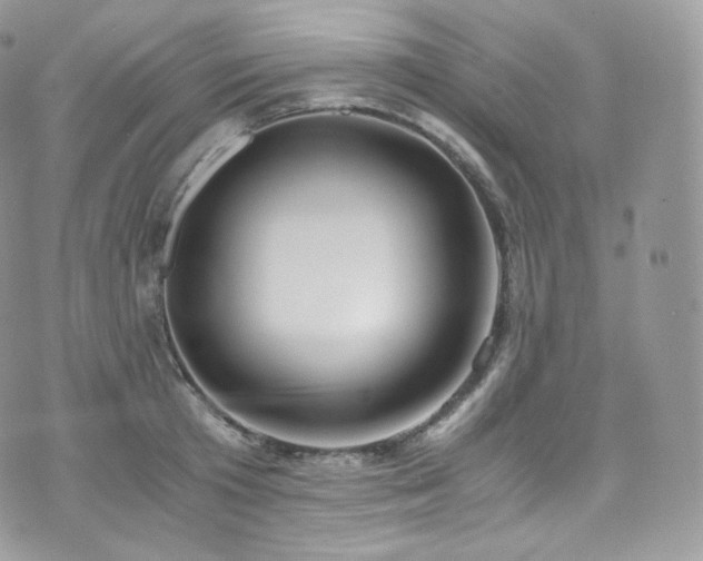 X0000073920801200608111221