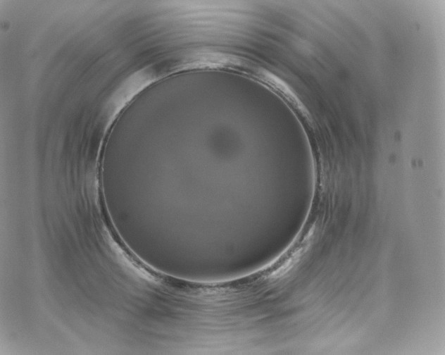 X0000073920802200608111221