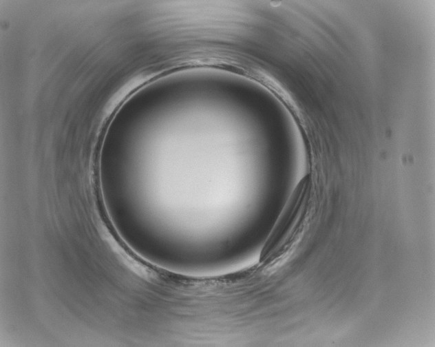 X0000073920803200608111221