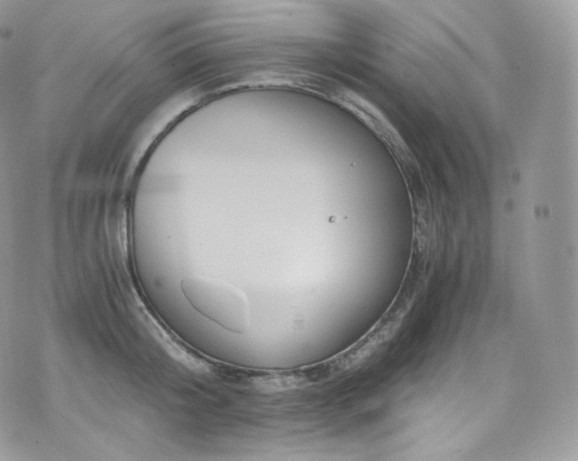 X0000073920804200608111221