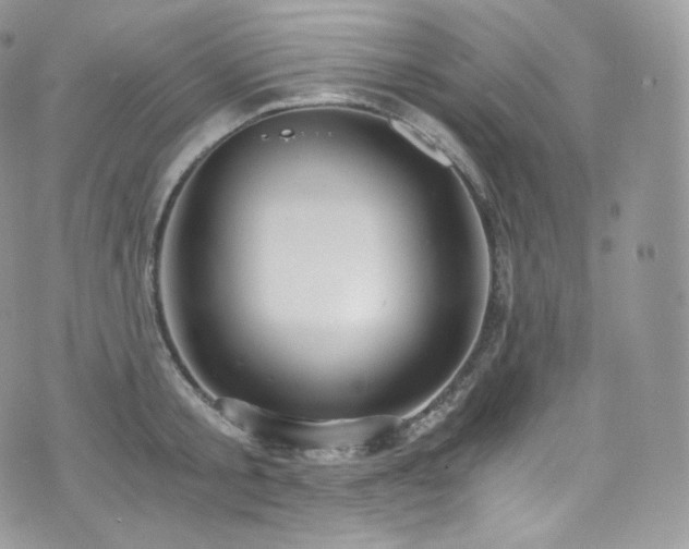 X0000073920805200608111221