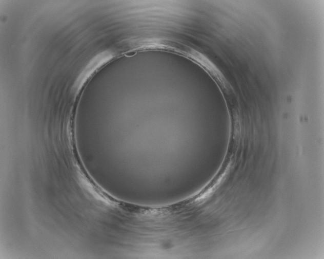 X0000073920806200608111221