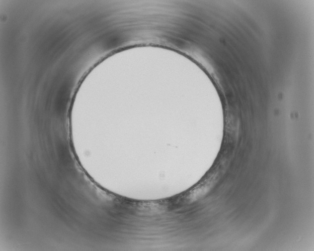 X0000073920807200608111221