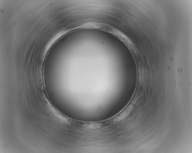 X0000073920808200608111221