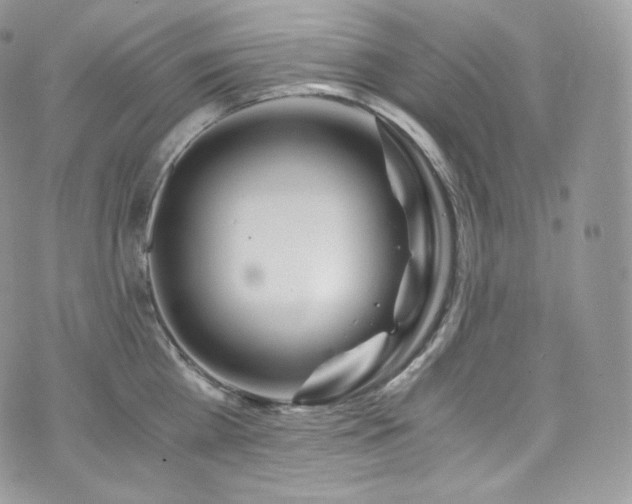 X0000073920809200608111221