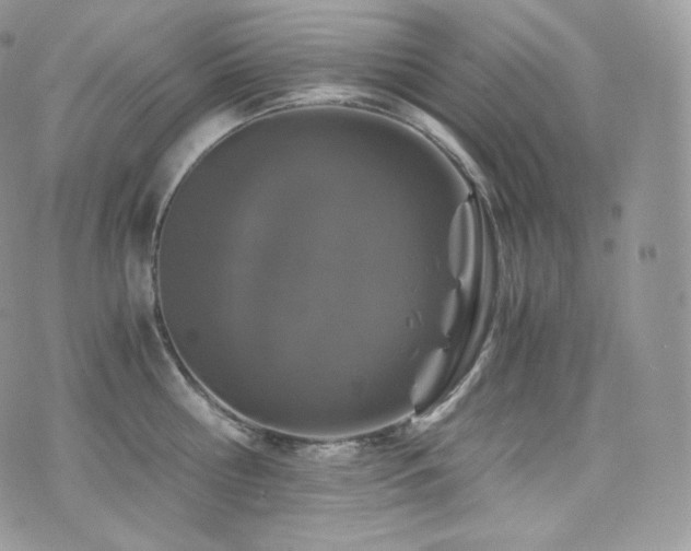 X0000073920810200608111221