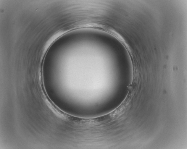 X0000073920811200608111221