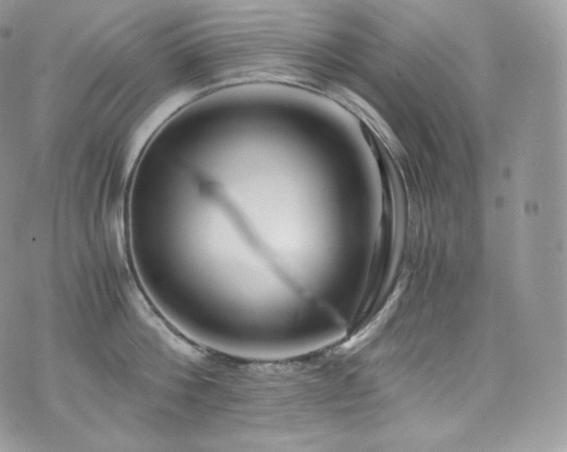 X0000073920812200608111221