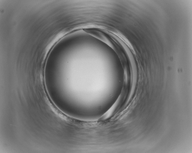 X0000073920813200608111221