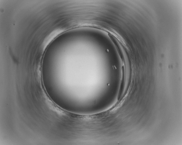 X0000073920814200608111221