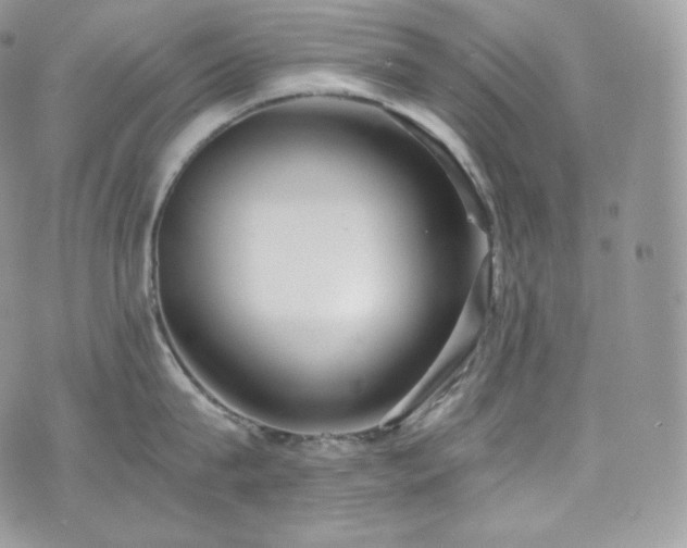 X0000073920815200608111221