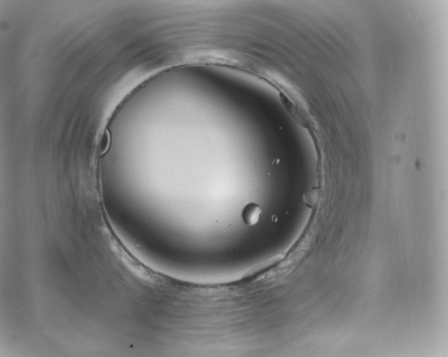 X0000073920816200608111221