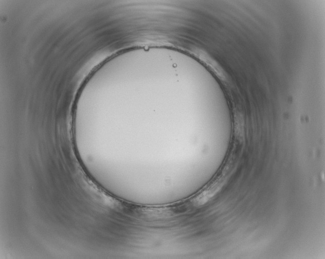 X0000073920856200608111221