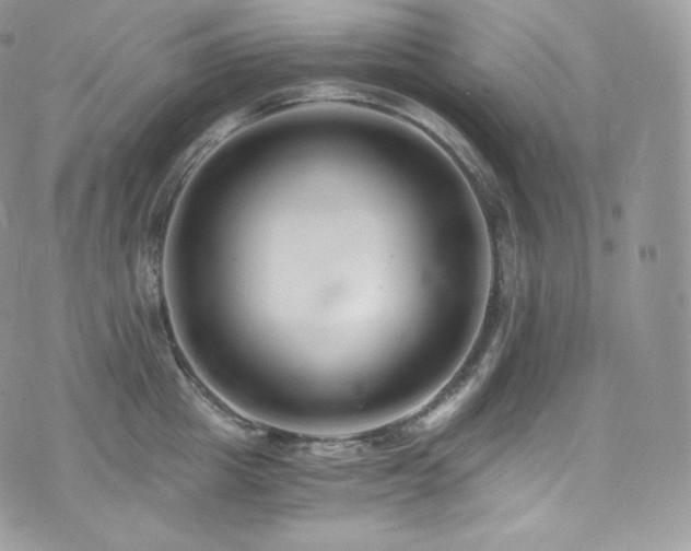 X0000073920857200608111221