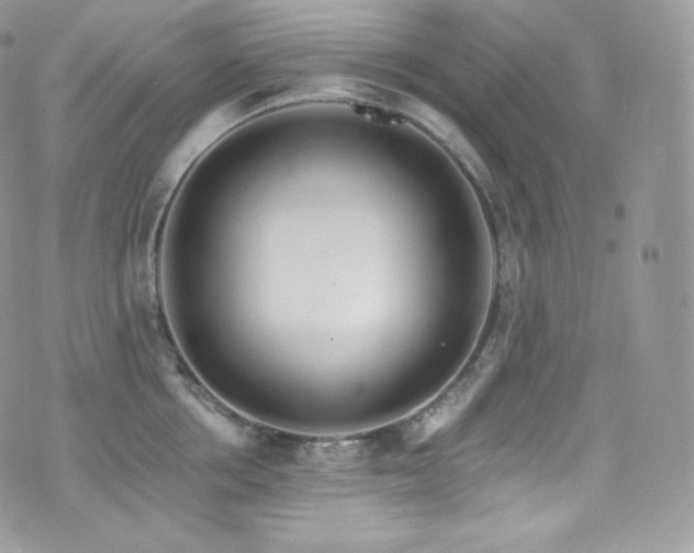 X0000073920858200608111221