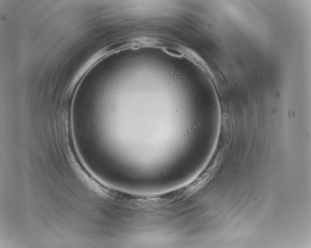 X0000073920859200608111221