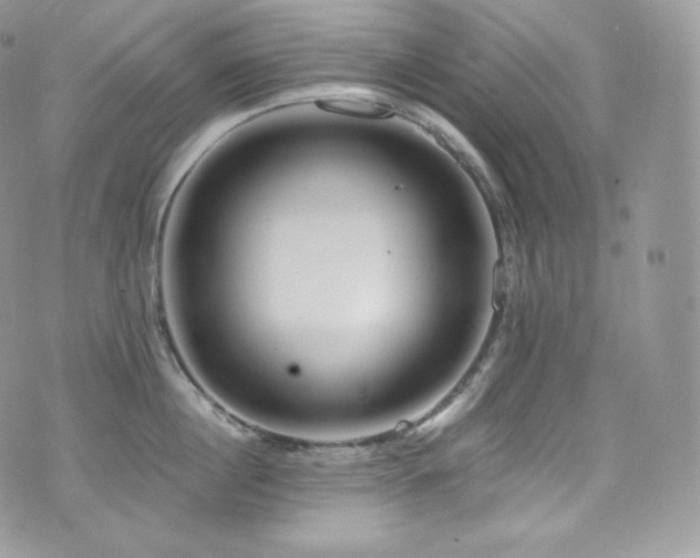 X0000073920860200608111221