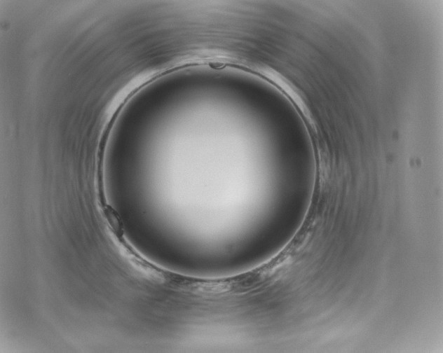 X0000073920861200608111221