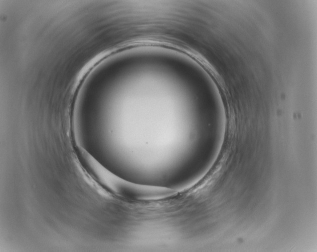 X0000073920862200608111221