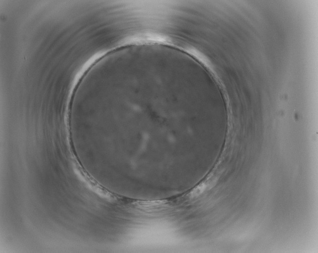 X0000073920864200608111221