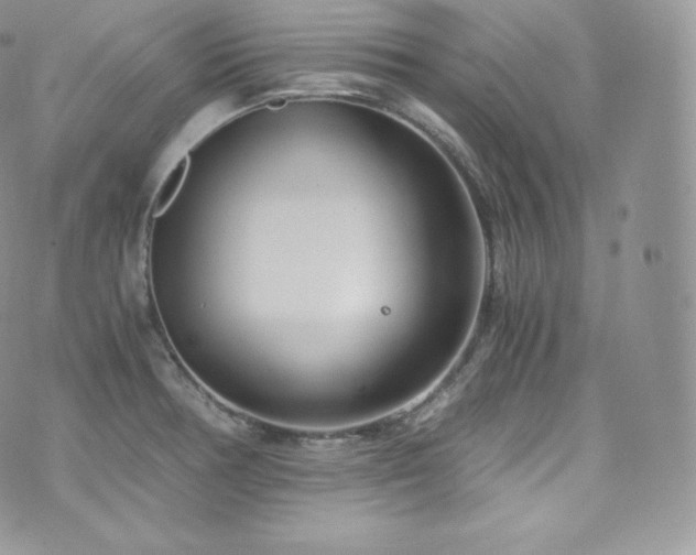 X0000073921378200608111211