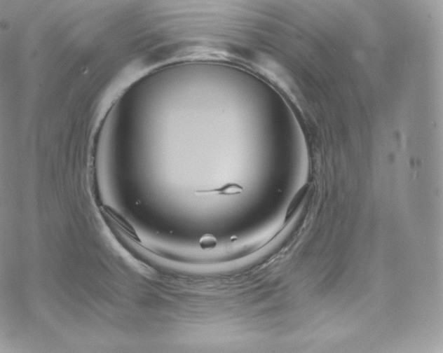 X0000073921379200608111211