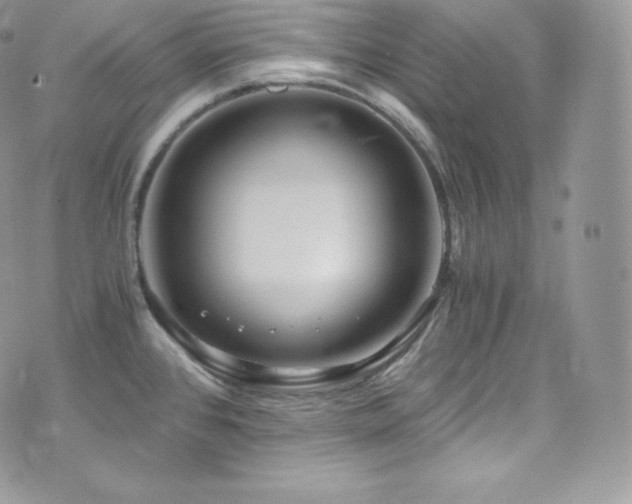 X0000073921384200608111211