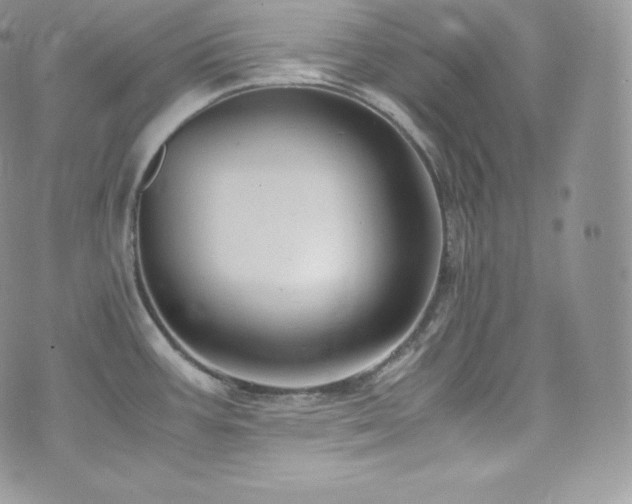 X0000073921387200608111211