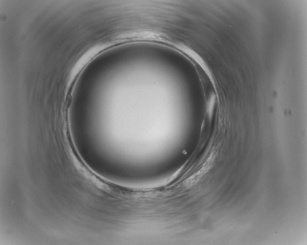 X0000073921389200608111211