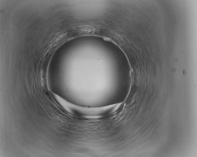 X0000073921394200608111210