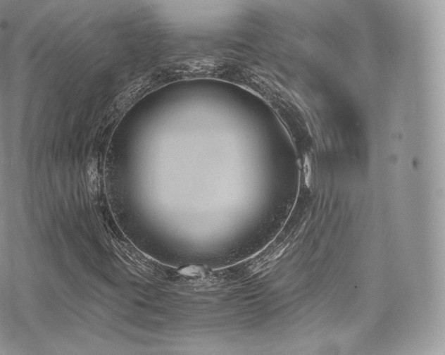 X0000073921395200608111211