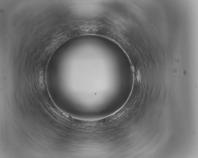 X0000073921396200608111211