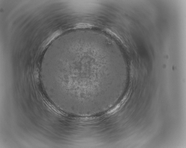 X0000073921401200608111211