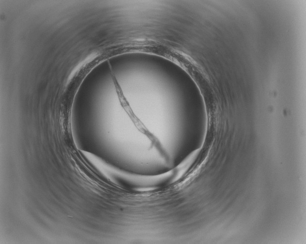 X0000073921402200608111211