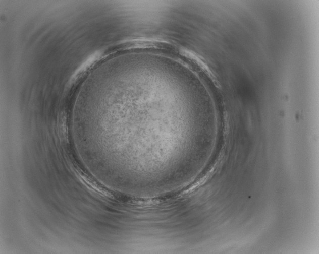 X0000073921403200608111211