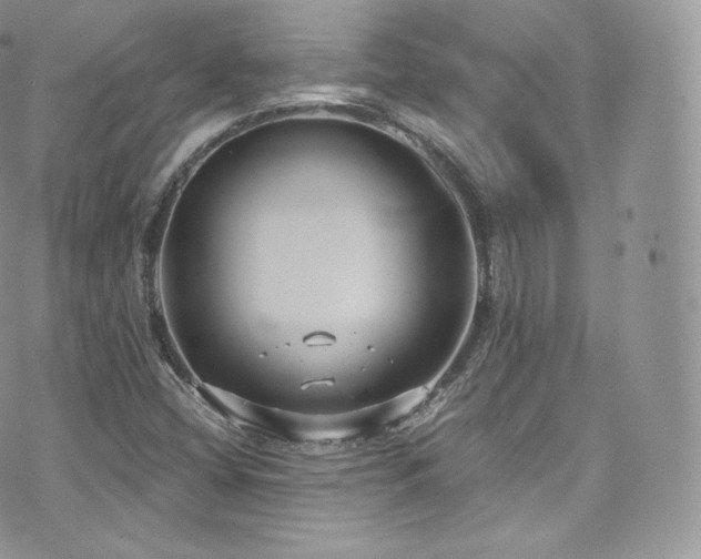 X0000073921404200608111211