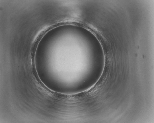 X0000073921408200608111211