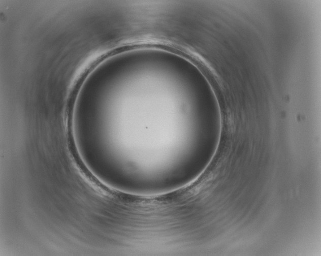 X0000073921416200608111211