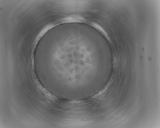 X0000073921419200608111211