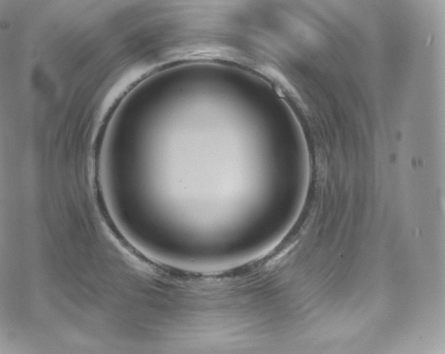 X0000073921424200608111211