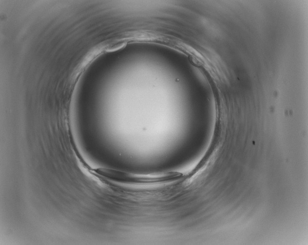 X0000073921433200608111211