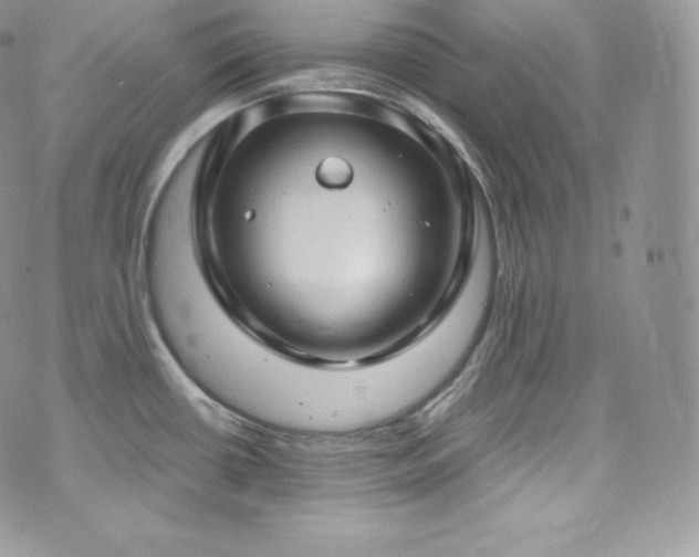 X0000073921434200608111211