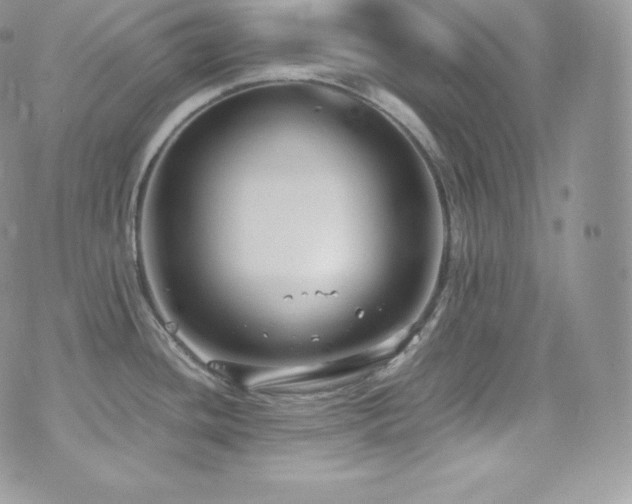 X0000073921436200608111211