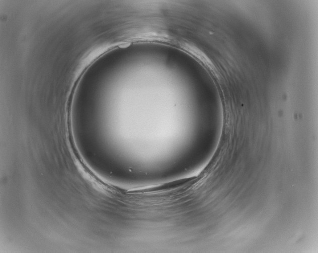 X0000073921439200608111211