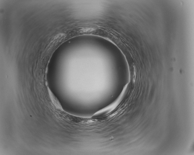 X0000073921441200608111210