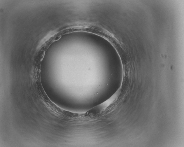 X0000073921448200608111210