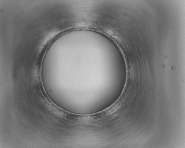 X0000073921454200608111210