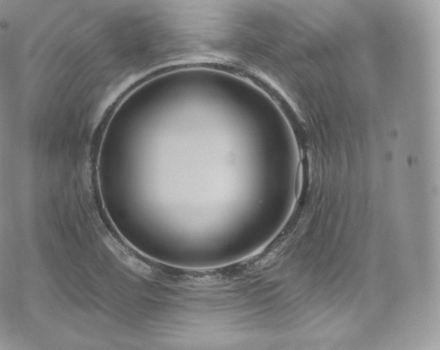 X0000073921460200608111210